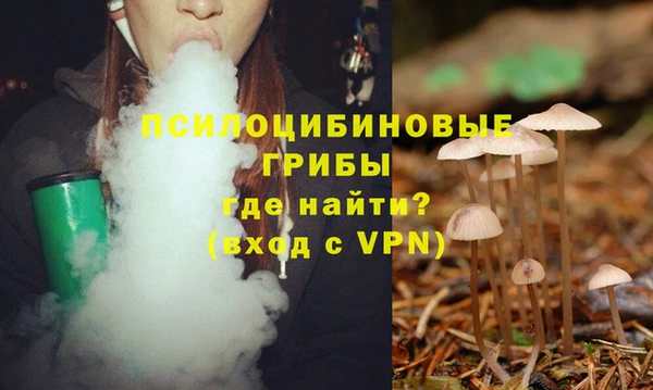 прущая мука Белоозёрский