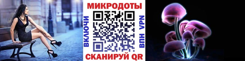 Купить где  Бологое  Галлюциногенные грибы Psilocybe 