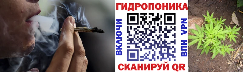 Марихуана ГИДРОПОН  Купить закладки  Бологое 